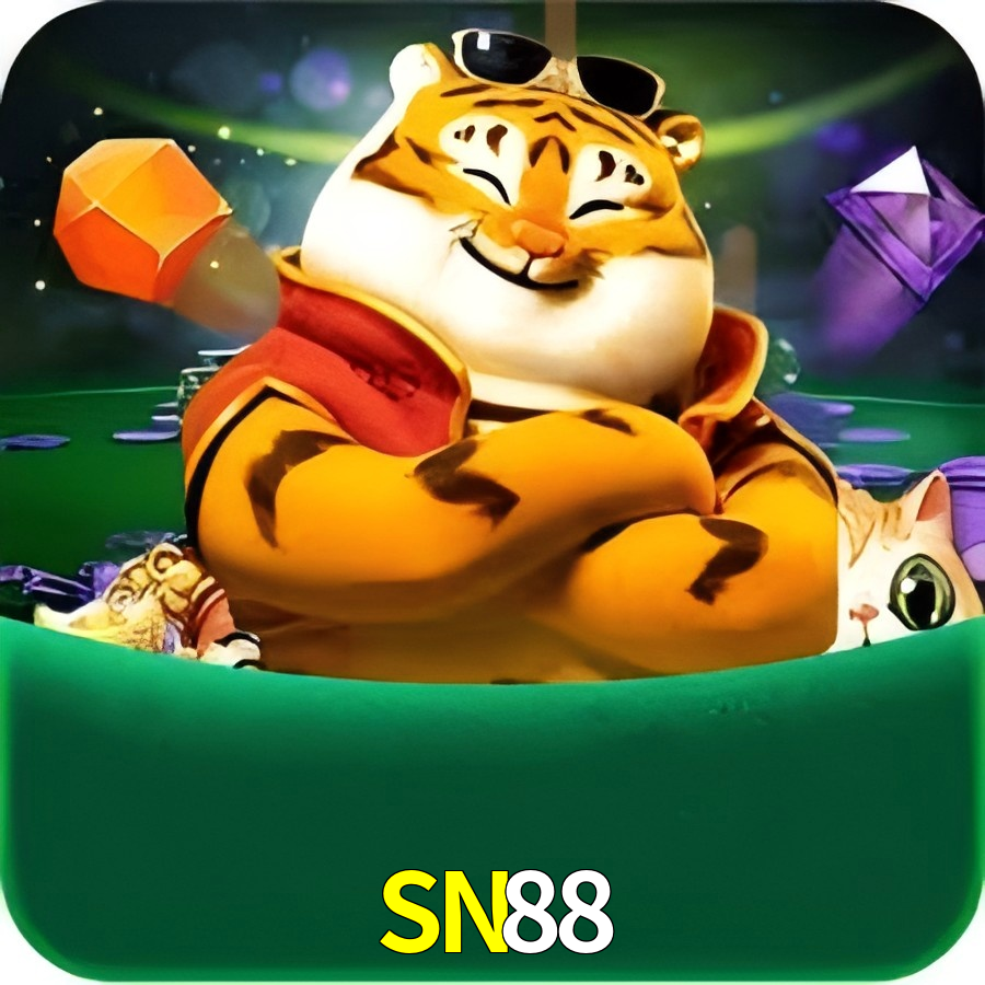  SN88